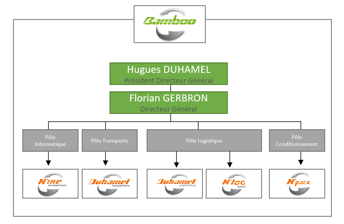 organigramme groupe Bamboo